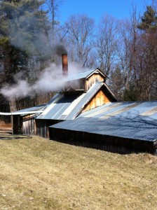 Poor Farm Sugar Works seen from a short distance. They are boiling sap and steam is coming out of the bulding. 