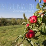 12029668_10153065237532791_6560927100371839362_o