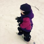 IMG_4061.JPG
