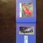 img_1129.jpg
