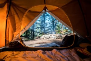 tent, camping, woods, outdoors, campfire, plan free summer