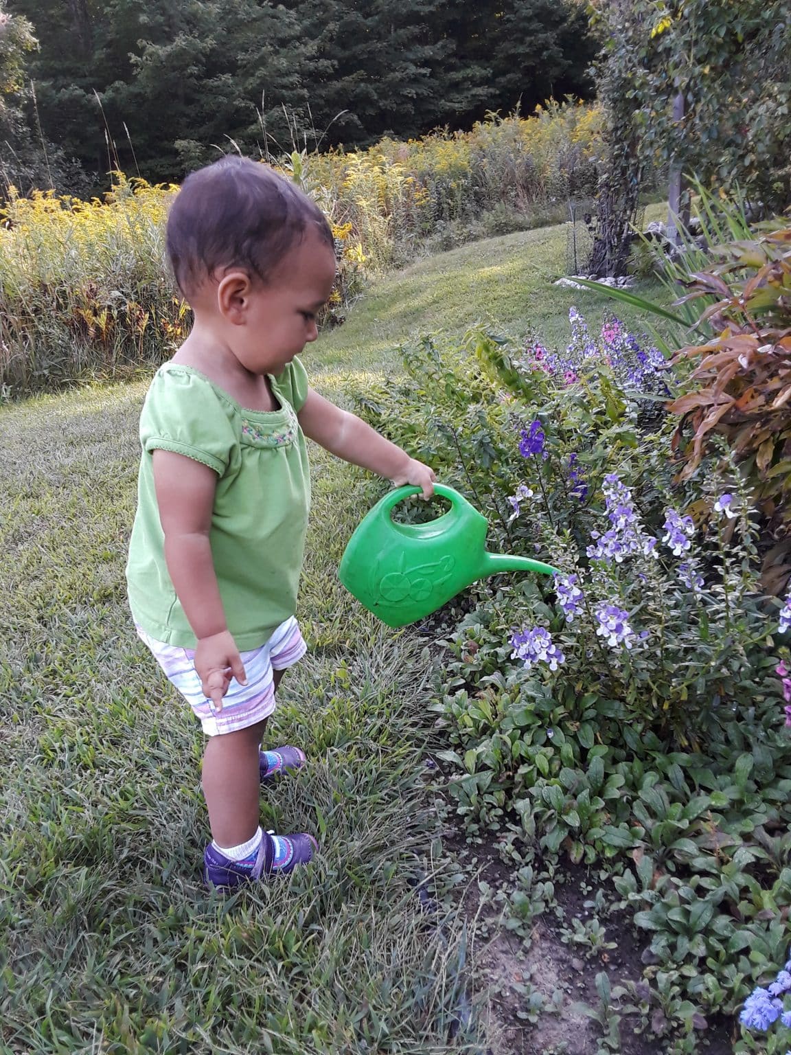 Why I Think Hunt Gather Parent Is The Best Parenting Book Ever