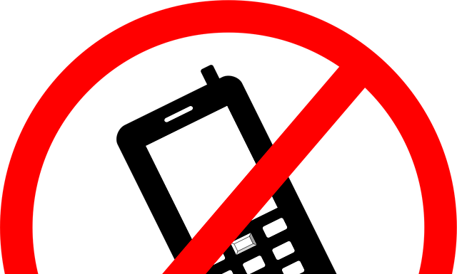 school cell phone ban